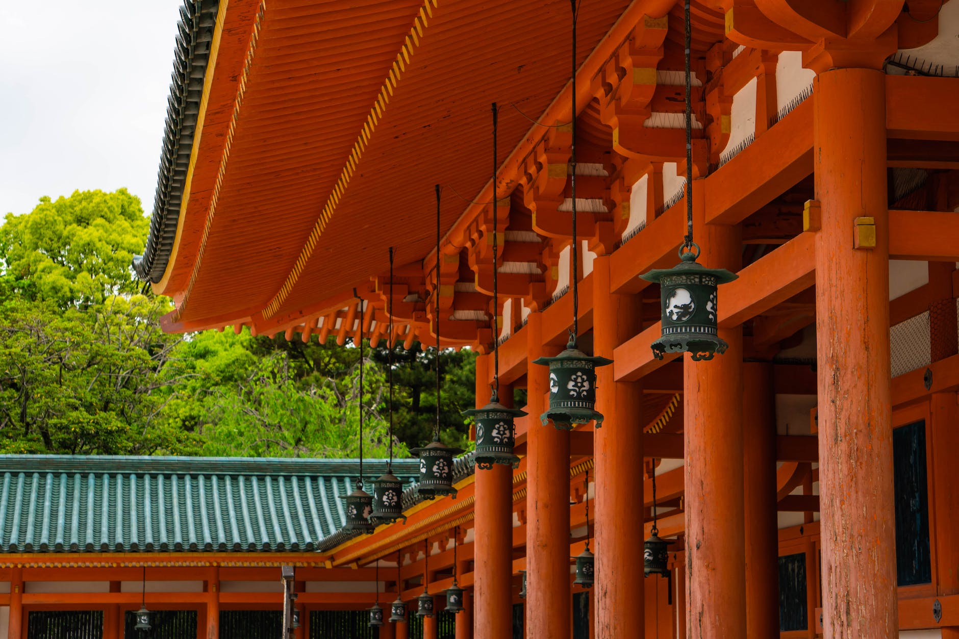 A view of Meiji Shrine